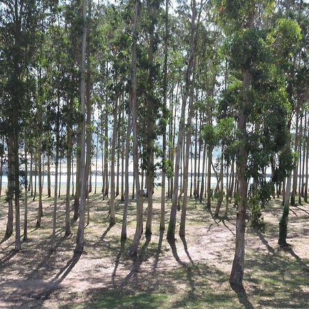 Apartamento Pie De Playa, El Puntal-Villaviciosa Villaviciosa  Eksteriør billede